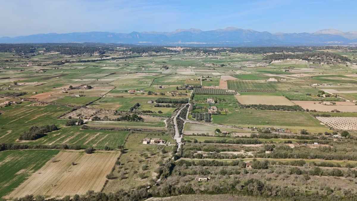 Vista aérea de terrenos rústicos en Baleares donde se podrá construir vivienda según la nueva ley urbanística.
