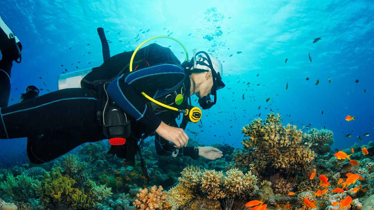 Buceadora explorando el fondo del mar guiada por un pulpo hacia un tesoro submarino
