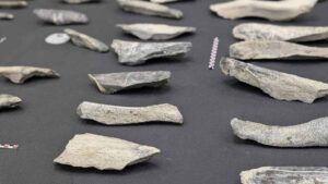 Científicos españoles encuentran en África las primeras pruebas de cuchillos hechos por humanos que podrían cambiar nuestra historia