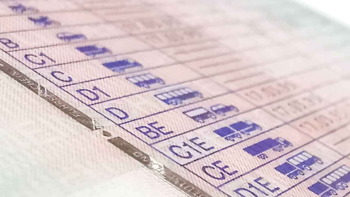Permisos C y D del carnet de conducir que requieren el CAP para trabajar como conductor profesional según la DGT.