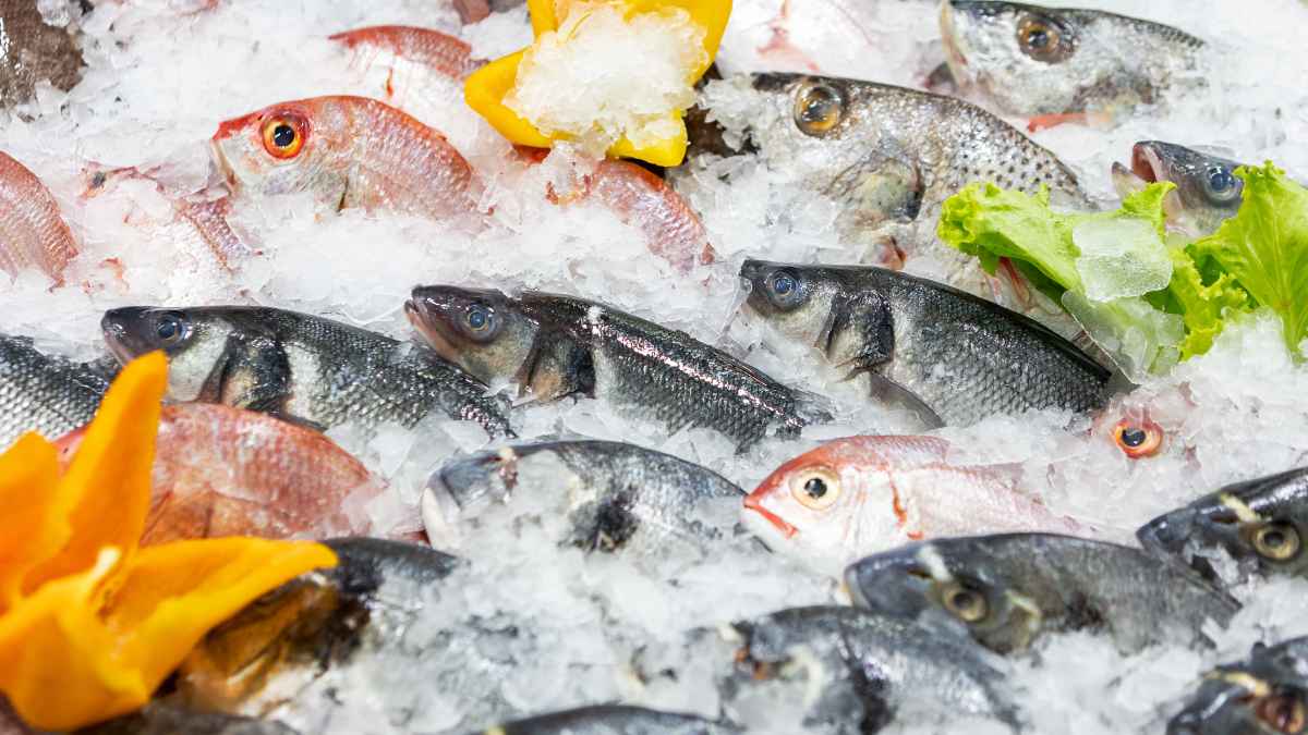 Pescado fresco en hielo, contraste con productos procesados que los médicos no recomiendan