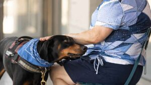 Una mujer va al Mercadona, se graba en video y gasta 140 euros en comida natural para su perro: “Come mejor que muchos humanos”
