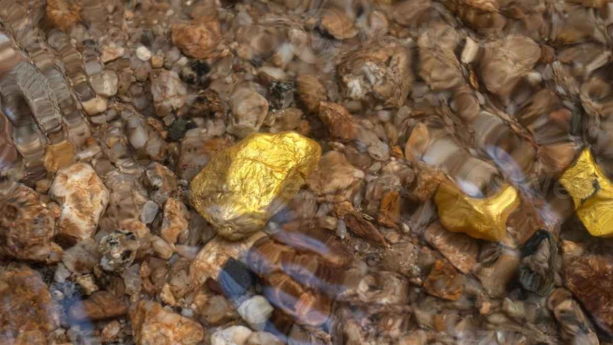 Pepitas de oro bajo el agua en un río del norte de Extremadura
