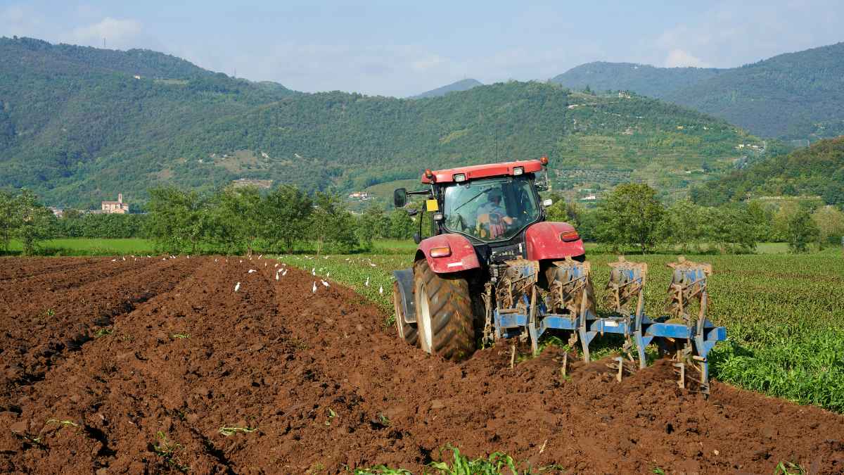 Tractor arando un campo agrícola donde se descubrió un tesoro de monedas de oro de la Guerra Civil