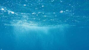 Un tesoro bajo las olas: el oro que existe en los océanos es de 20 millones de toneladas y aún no permiten extraerlo