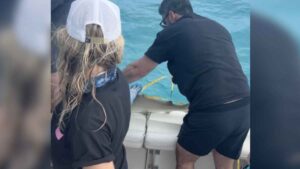 Lo que apareció en una cámara submarina a 1.054 metros de profundidad en el Caribe podría cambiar la ciencia marina