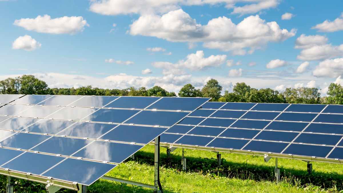 Placas solares en terreno agrícola en Carmona sustituyendo cultivos tradicionales