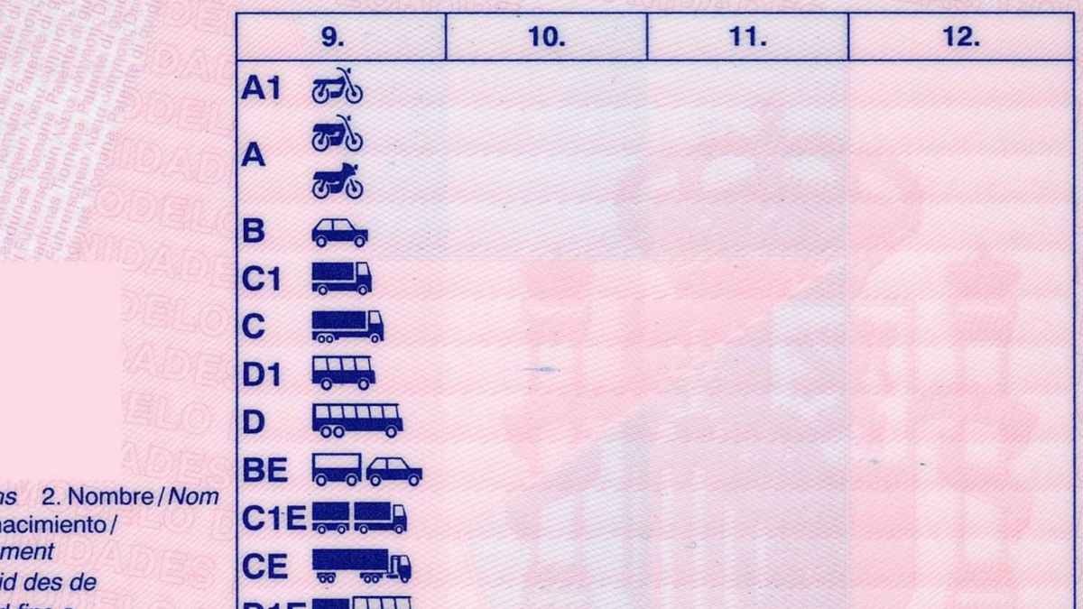 Carnet de conducir español con permisos C y D incluidos