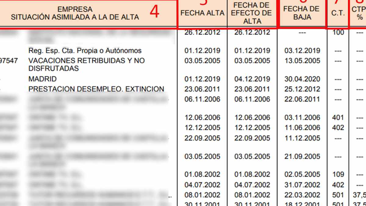 Detalle del Informe de Vida Laboral con fechas de alta y baja para planificar la jubilación en España