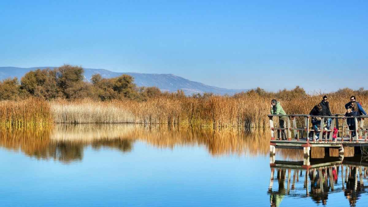 Vista del Parque Nacional de las Tablas de Daimiel con pasarela y aguas cristalinas, el paraíso manchego de Daimiel
