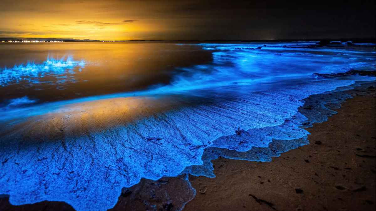 Playas españolas con bioluminiscencia azul brillando en la oscuridad del mar durante la noche
