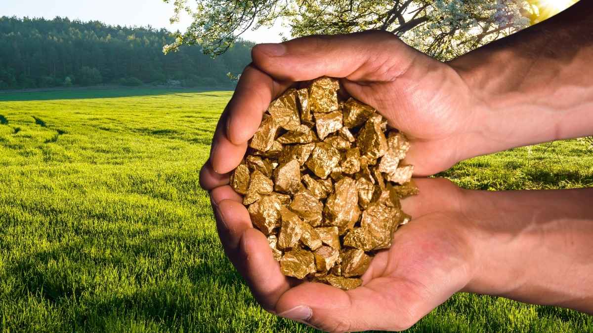 Manos de agricultor sosteniendo pepitas de oro halladas en un campo de Auvernia
