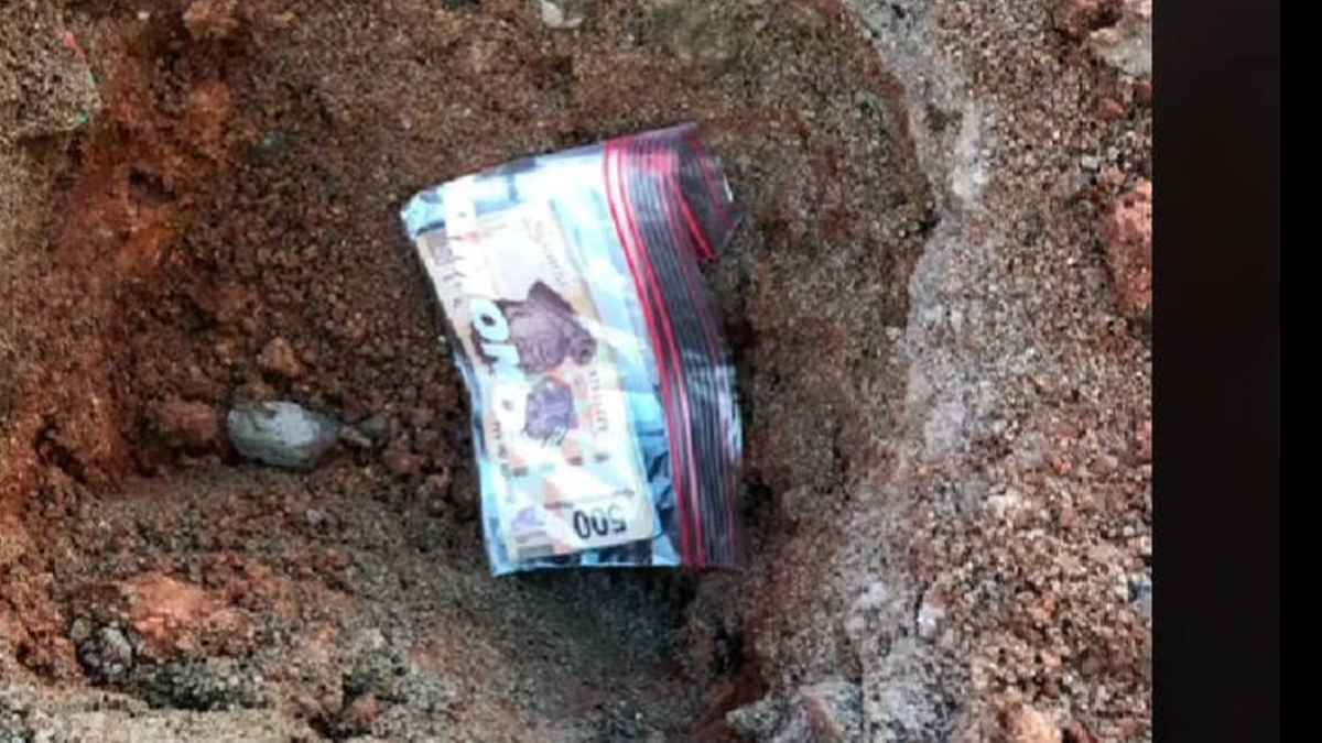 Fajos de billetes enterrados encontrados en una finca agrícola de Dinamarca durante una limpieza