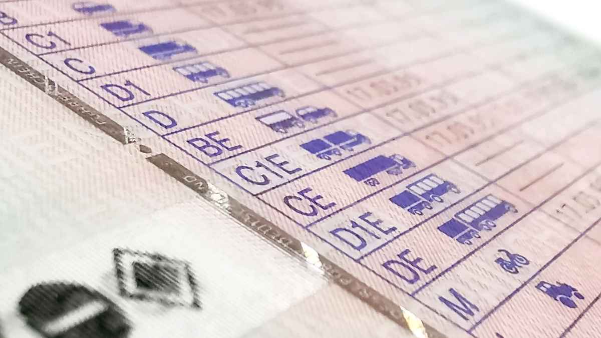 Detalle de un permiso de conducir en España con las categorías de vehículos actualizadas
