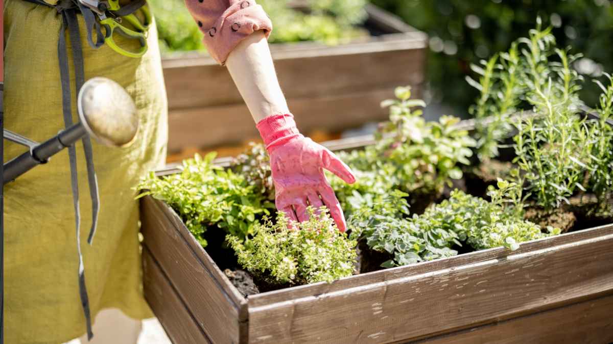 Jardinera trabajando entre plantas tras lograr su pensión por incapacidad permanente reconocida por la Seguridad Social