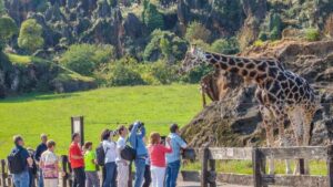 El Parque de Cabárceno regala entradas solo por unos días a niños que vayan disfrazados