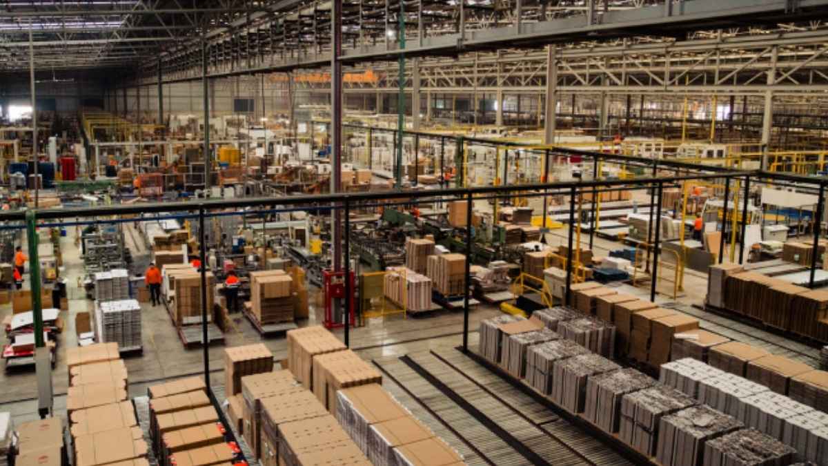 Operarios trabajando en fábrica de cartón en Aielo de Malferit, Valencia