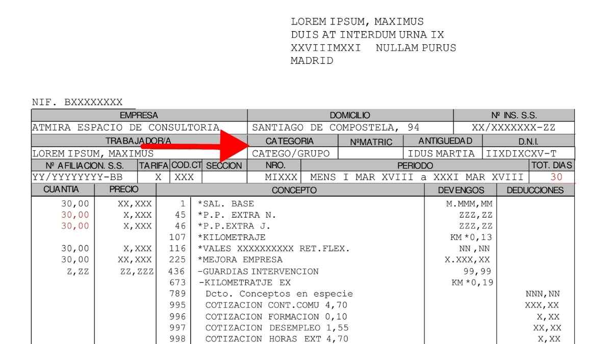 Ejemplo de nómina con el grupo de cotización señalado en la categoría laboral