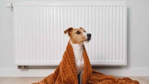 El falso truco de la calefacción que dispara el gasto: cómo pagar menos este invierno, según los expertos