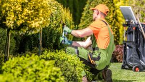 Un funcionario que trabaja de jardinero pide trabajar desde casa y se topa con una negativa rotunda: “No es susceptible”