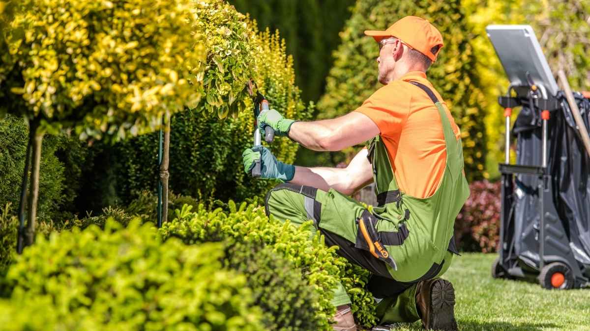 Funcionario jardinero del Ayuntamiento realizando labores de mantenimiento en zonas verdes tras denegarle el teletrabajo