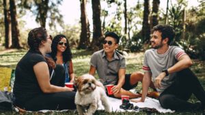 Un Erasmus laboral para “ninis” en situación vulnerable se pone en marcha con prácticas en empresas de la Unión Europea