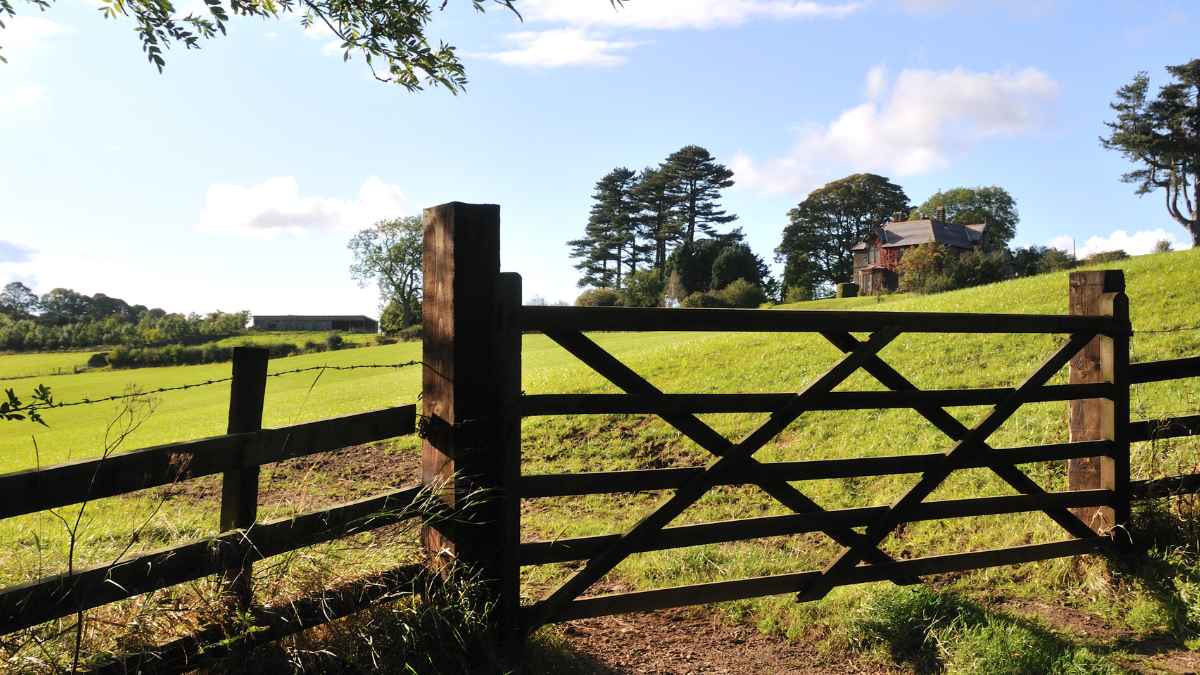 Huerto autosuficiente en una finca rural similar a la de quien dejó Madrid para vivir en el campo