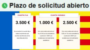 Abierto plazo para las Becas Manuela Solís de hasta 6.000 euros para estudiantes de grado o máster: requisitos y pasos para solicitarlas