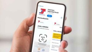 La Seguridad Social simplifica la vida laboral y otros informes con Importass