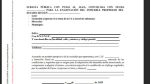 Formulario oficial de subasta (Hacienda) para comprar alguna de estas 48 fincas rústicas desde 4,82 euros