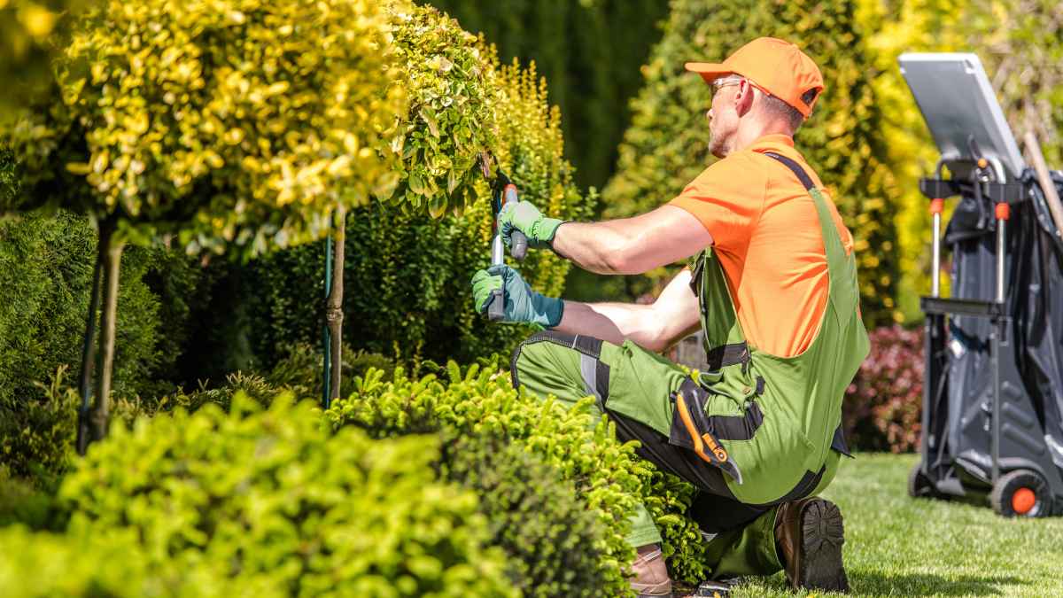 Jardinero realizando trabajos de mantenimiento y poda en un jardín