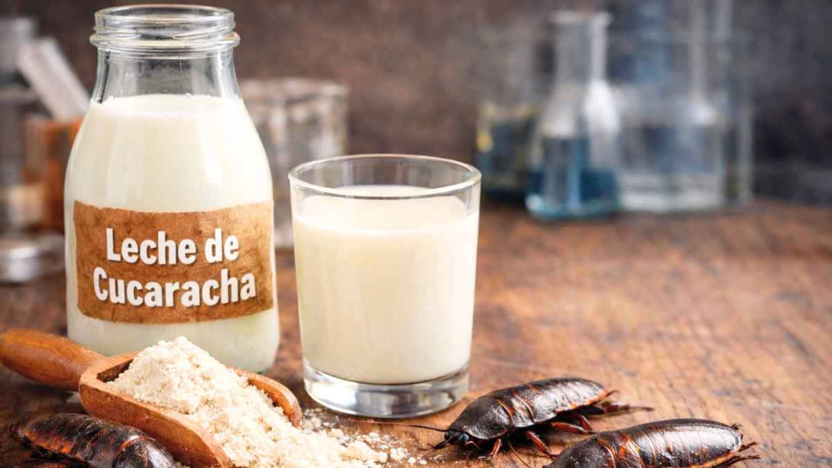 leche de cucaracha en botella de cristal con etiqueta, vaso lleno y cucarachas junto a proteína en polvo sobre mesa de madera