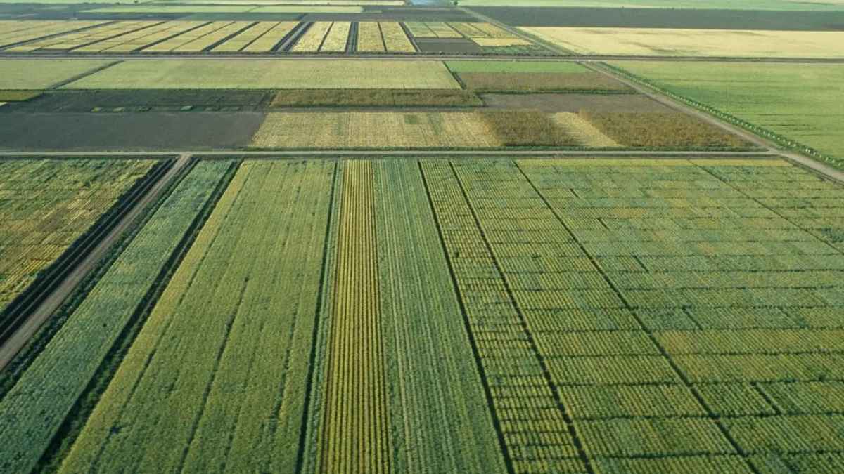 Vista aérea de parcelas agrícolas y cultivos en Extremadura para la Solicitud Única de la PAC 2026