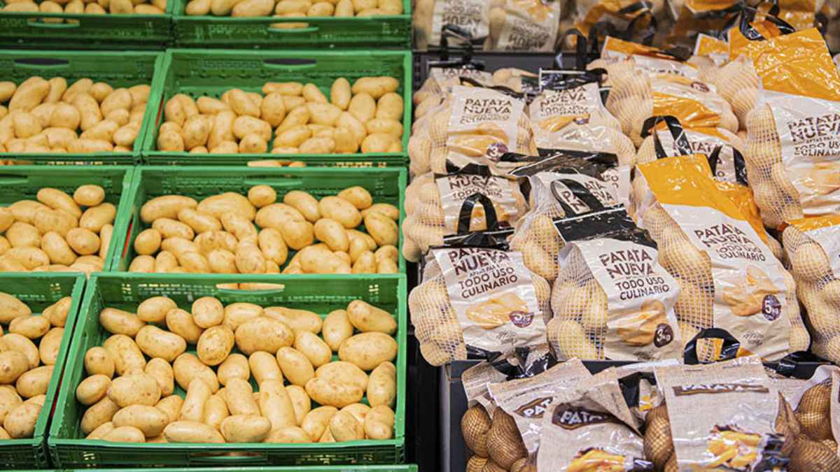 Patatas a granel y envasadas en los lineales de Mercadona como parte de la campaña nacional de más de 180.000 toneladas.