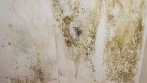 El truco de un albañil para acabar con las humedades que deterioran las paredes de tu hogar