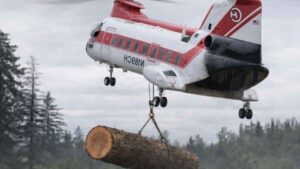 Los helicópteros está llenando los ríos de troncos: la sorprendente estrategia ecológica