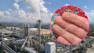 La industria del plástico bajo lupa de la Unión Europea: las empresas ahora tienen una nueva obligación y ya hay fecha marcada en rojo en 2026