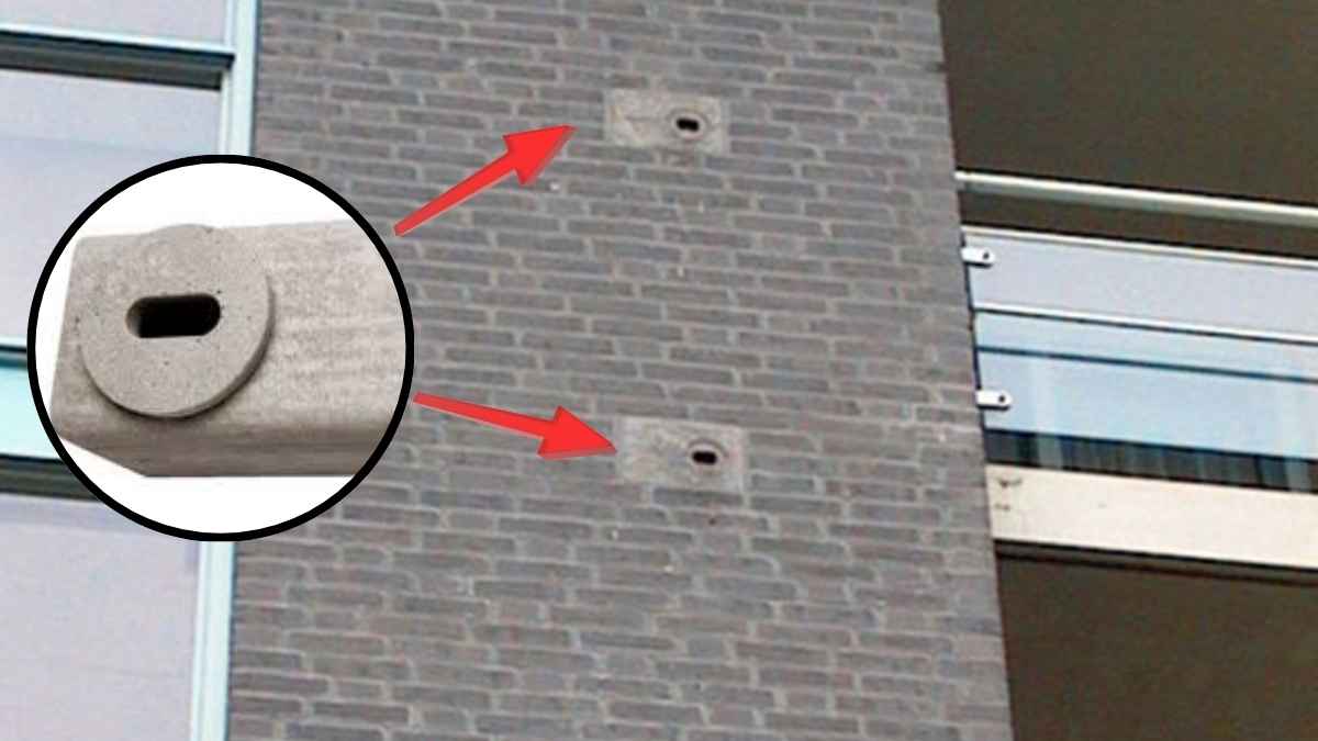 Ladrillos nido integrados en la fachada de un edificio para que aniden los vencejos