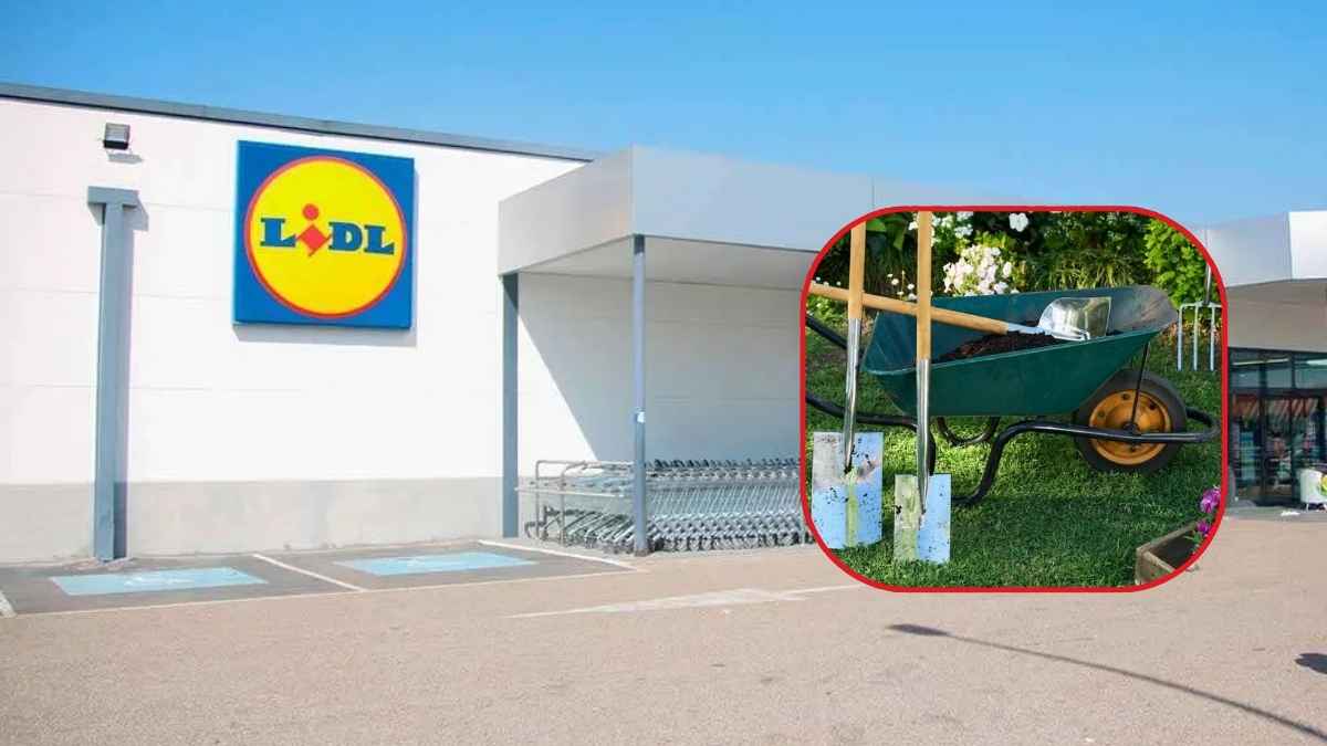 Fachada de un supermercado Lidl con carretilla y herramientas de jardinería en oferta para aficionados al bricolaje doméstico