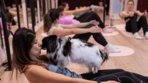 Adiós a dejar a tu perro en casa mientras entrenas: ya puedes hacer deporte junto a tu macasota en este pionero centro