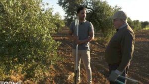 El agricultor de 75 años que prefiere mantener su vida en el campo con la ayuda de la jubilación activa