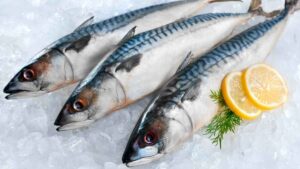 Una alerta alimentaria pone el foco en la caballa española por la presencia de anisakis