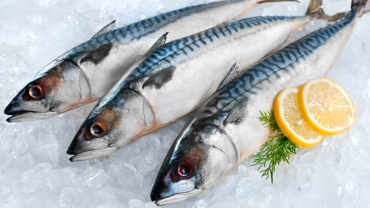 Caballas frescas sobre hielo en una imagen de la alerta alimentaria por anisakis