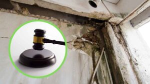 Un casero deberá pagar 82.922 euros tras quedar probado que la casa alquilada presentaba humedades, moho y graves deficiencias