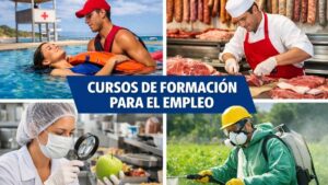 Formación para el empleo sin coste con 60 plazas y cuatro especialidades pensadas para trabajar (Ayto. de Marbella): cómo presentar la solicitud
