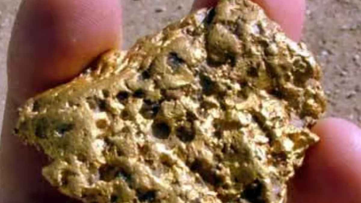 Roca dorada encontrada por un buscador de oro en Australia, originalmente pensada como oro, pero que resultó ser un meteorito antiguo del sistema solar