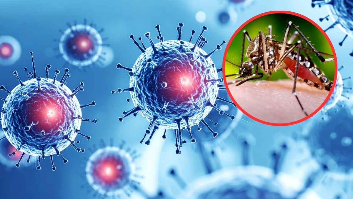 Imagen ilustrativa del virus del Nilo y de un mosquito transmisor en una composición gráfica sobre el riesgo de contagio en Sevilla