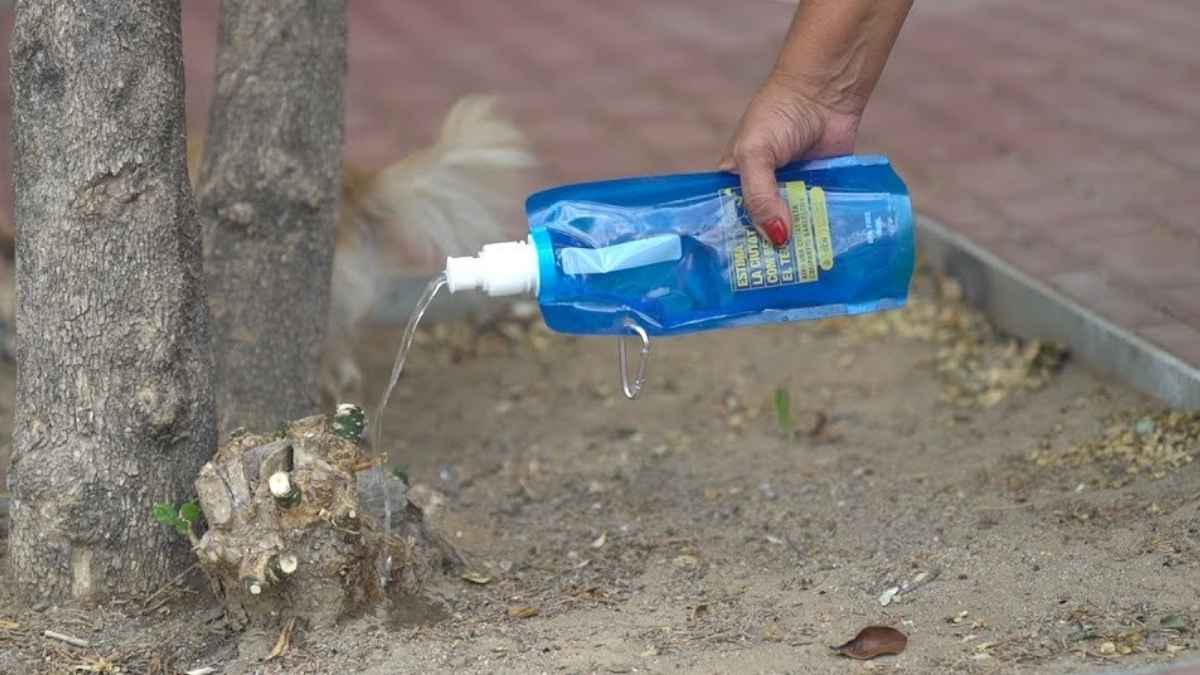 Dueña de perro usando una botella con agua y vinagre para diluir los orines de su mascota en Fuengirola, medida que podría ser obligatoria en 2026