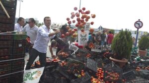 Los agricultores españoles dicen que prefieren tirar la cosecha antes que vender tomates a 80 céntimos el kilo: “Si aceptamos esos precios, desaparecemos”