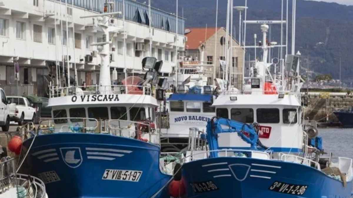 Barcos de la flota vasca amarrados en puerto en una imagen sobre la nueva alianza en Euskadi para adaptar el pescado a los hábitos de consumo